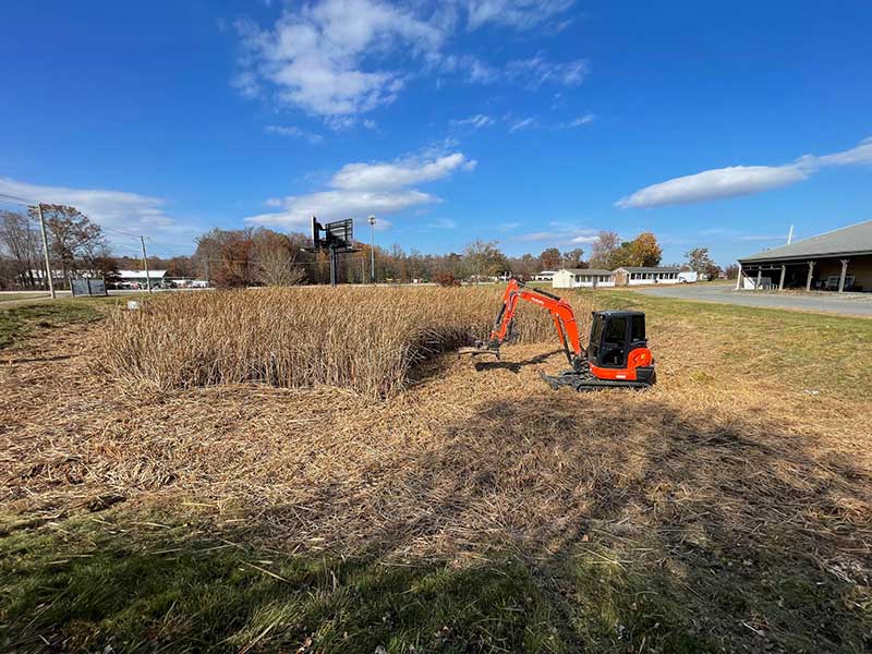 Vegetation Management